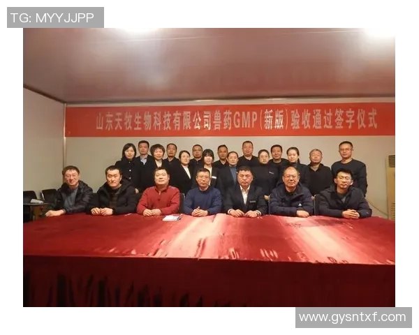 重庆足球队的崛起之路洲际杯特别报道揭示背后的奋斗与荣耀