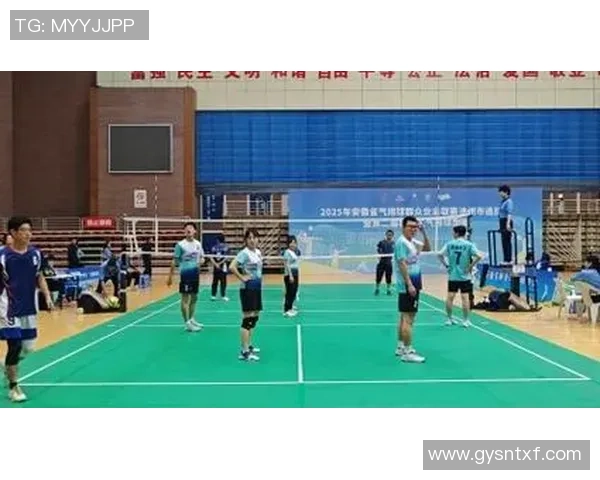 广州排球队技术革新引发热议助力排球运动新发展