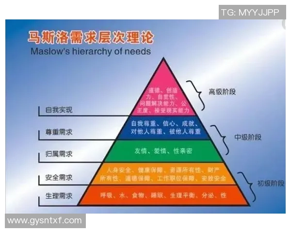 足球明星的背后团队揭秘助理在职业生涯中的重要角色分析 足球明星的背后团队揭秘助理在职业生涯中的重要角色分析