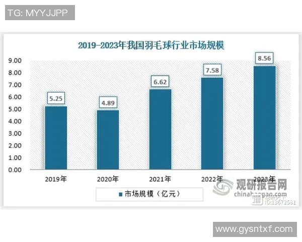 南京羽毛球队实力解析聚焦羽毛球运动的未来发展与挑战
